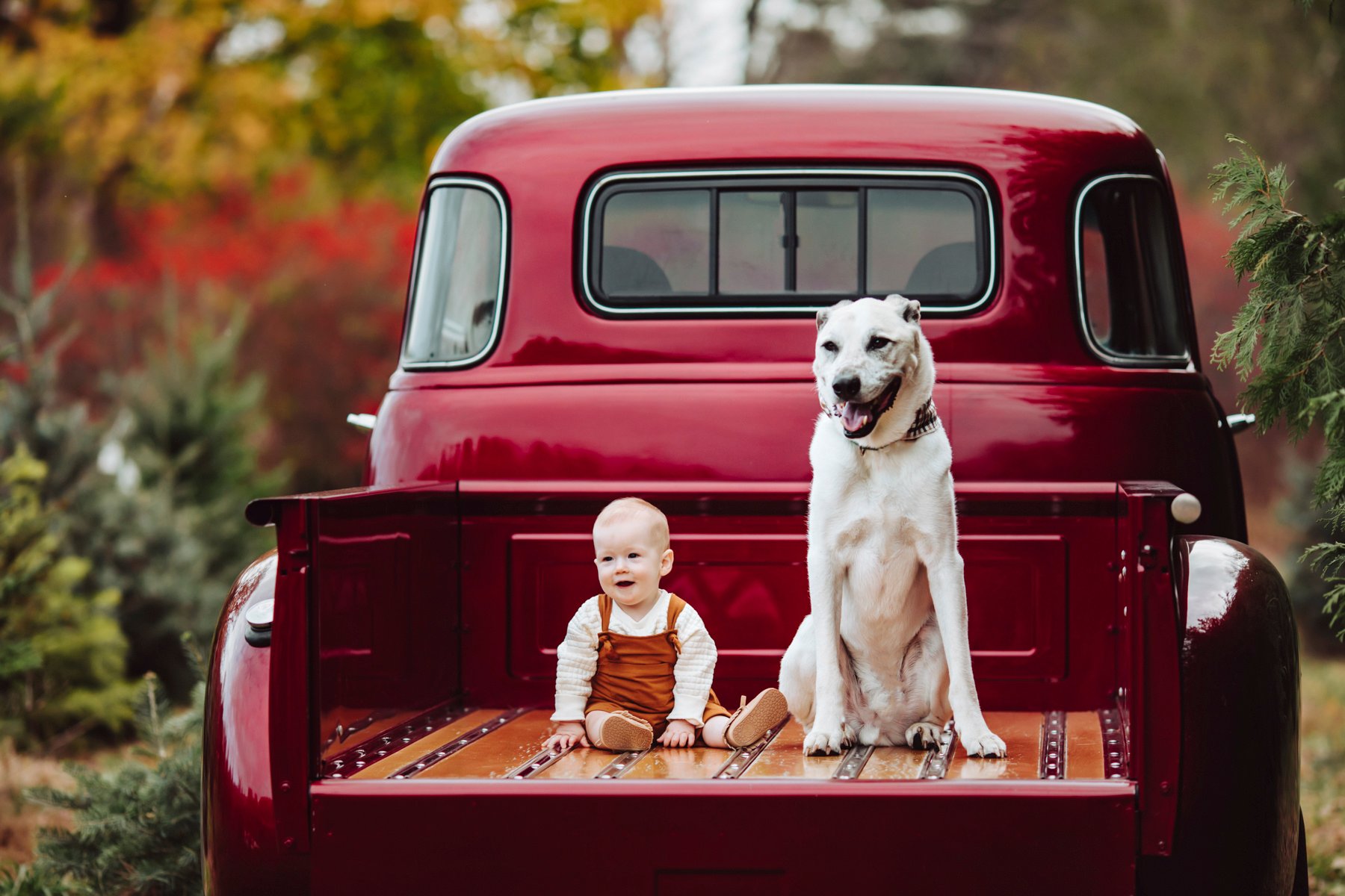 SANTA-RUBY-TREE FARM PHOTOS-6